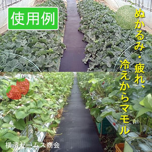 養生 用 ゴムマット スリムタイプ 厚み7mm 500mm×2000mm 1枚 歩行 養生 用 ゴムマット 畑 農業 ハウス の 通路 農道 建設現場