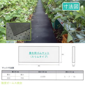 養生 用 ゴムマット スリムタイプ 厚み7mm 500mm×2000mm 1枚 歩行 養生 用 ゴムマット 畑 農業 ハウス の 通路 農道 建設現場